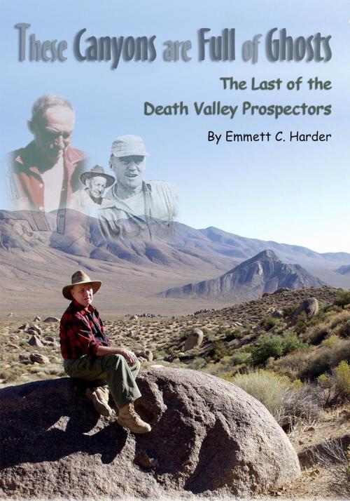 Cover of the book These Canyons Are Full of Ghosts by Emmett Harder, Sastrugi Press