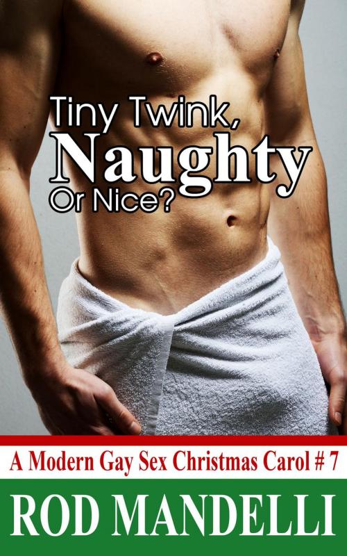 Cover of the book Tiny Twink, Naughty or Nice? by Rod Mandelli, Gayrotica Press