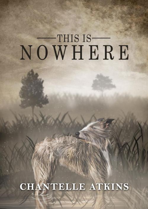 Cover of the book This Is Nowhere by Chantelle Atkins, Chantelle Atkins