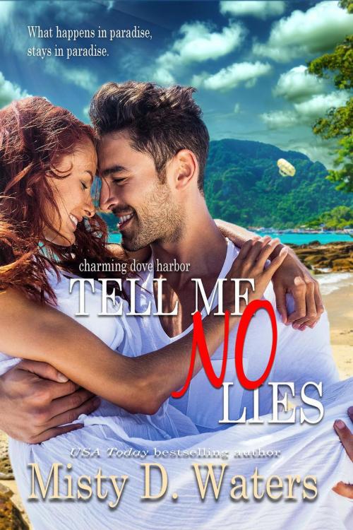 Cover of the book Tell Me No Lies by Misty D. Waters, Misty D. Waters