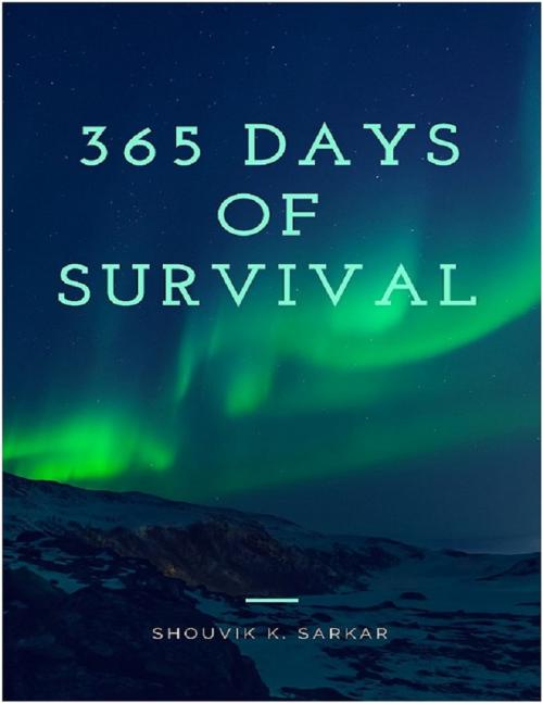 Cover of the book 365 Days Of Survival by Shouvik K. Sarkar, Lulu Press Inc
