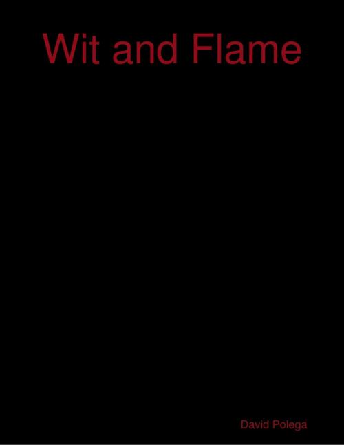 Cover of the book Wit and Flame by David Polega, Lulu.com