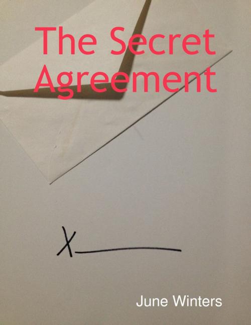 Cover of the book The Secret Agreement by June Winters, Lulu.com