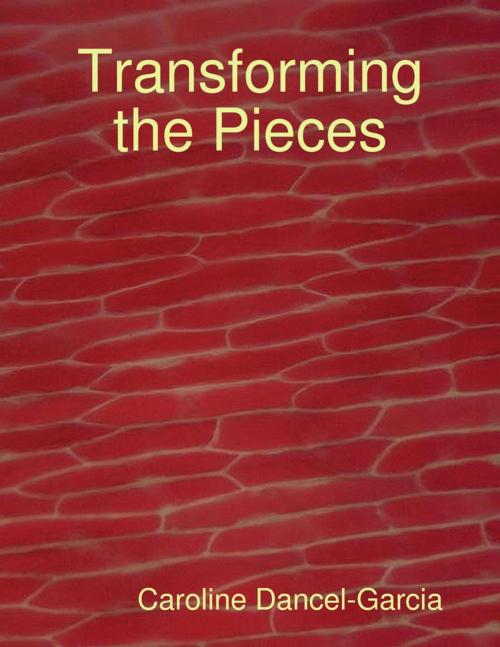 Cover of the book Transforming the Pieces by Caroline Dancel-Garcia, Lulu.com