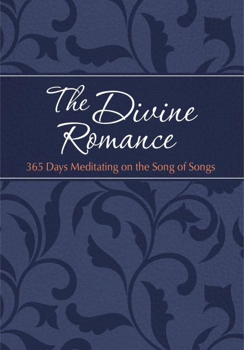 Cover of the book The Divine Romance by Gretchen Rodriguez, Brian Simmons, BroadStreet Publishing Group, LLC