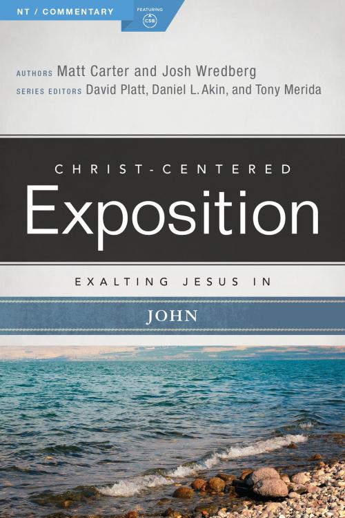 Cover of the book Exalting Jesus in John by Matt Carter, Josh Wredberg, B&H Publishing Group
