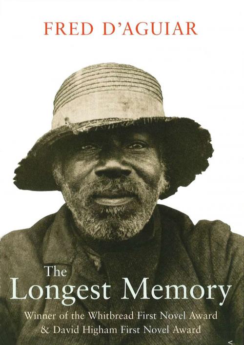 Cover of the book The Longest Memory by Fred D'aguiar, Random House