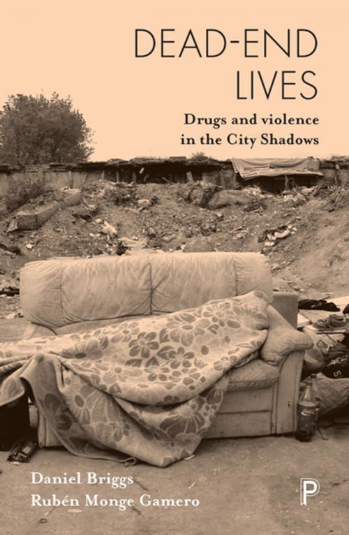 Cover of the book Dead-end lives by Briggs, Daniel, Monge Gamero, Rubén, Policy Press