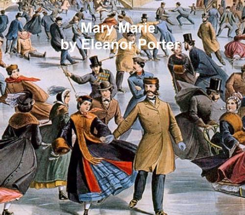 Cover of the book Mary Marie by Eleanor Porter, Seltzer Books