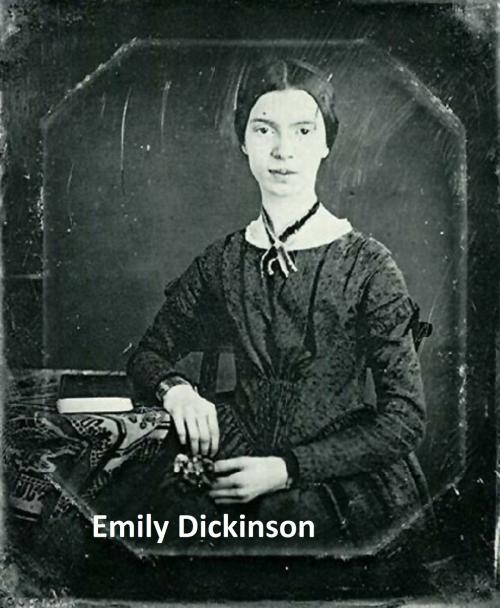 Cover of the book Emily Dickinson's poetical works (the original edition) by Emily Dickinson, Seltzer Books