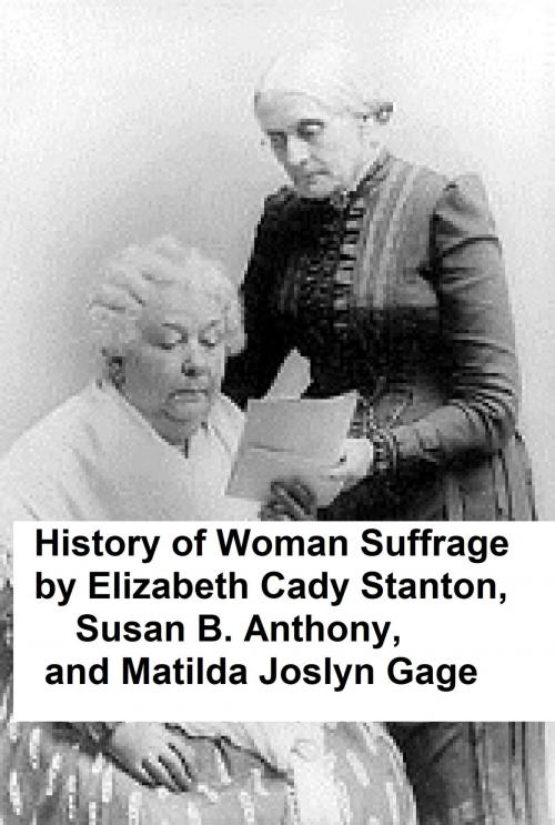 Cover of the book History of Woman Suffrage, all six volumes by Elizabeth Cady Stanton, Seltzer Books