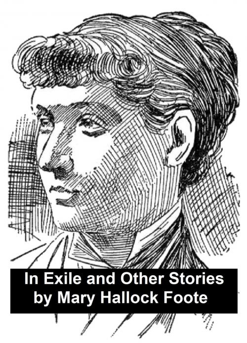 Cover of the book In Exile and Other Stories by Mary Hallock Foote, Seltzer Books