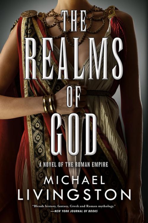 Cover of the book The Realms of God by Michael Livingston, Tom Doherty Associates