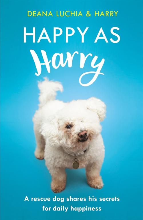 Cover of the book Happy as Harry by Deana Luchia, Headline