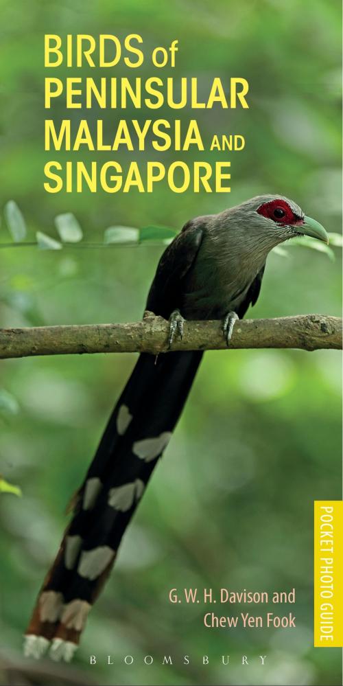 Cover of the book Birds of Peninsular Malaysia and Singapore by G. W. H. Davison, Bloomsbury Publishing