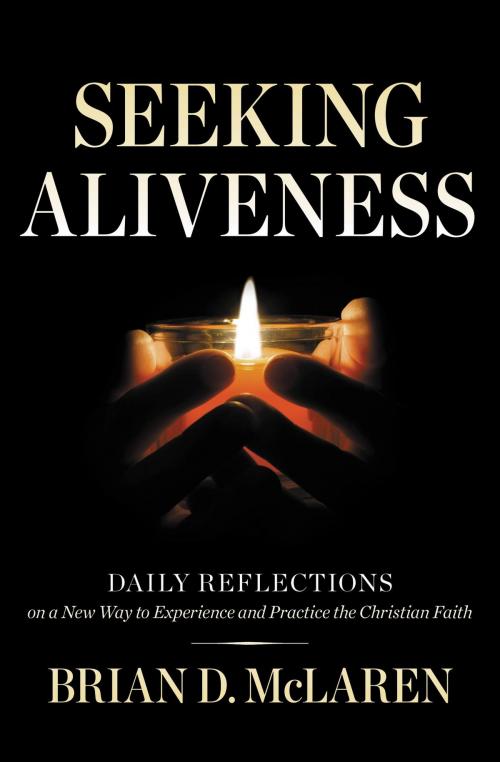 Cover of the book Seeking Aliveness by Brian D. McLaren, FaithWords