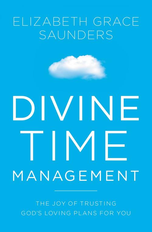 Cover of the book Divine Time Management by Elizabeth Grace Saunders, FaithWords