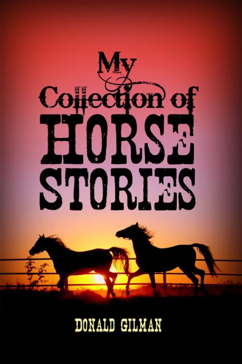 Cover of the book My Collection of Horse Stories by Donald Gilman, Dorrance Publishing