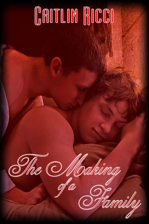 Cover of the book The Making of a Family by Caitlin Ricci, eXtasy Books Inc