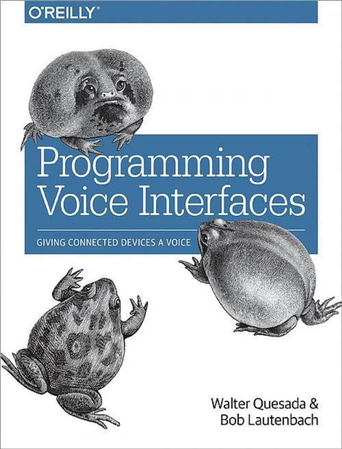 Cover of the book Programming Voice Interfaces by Walter Quesada, Bob Lautenbach, O'Reilly Media
