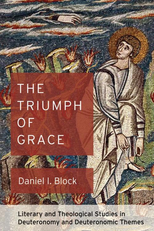 Cover of the book The Triumph of Grace by Daniel I. Block, Wipf and Stock Publishers