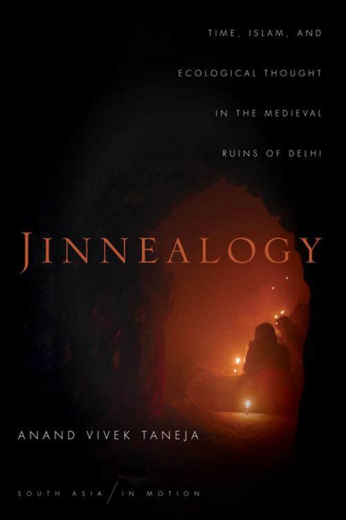 Cover of the book Jinnealogy by Anand Vivek Taneja, Stanford University Press