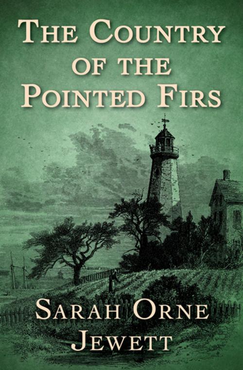 Cover of the book The Country of the Pointed Firs by Sarah Orne Jewett, Open Road Media