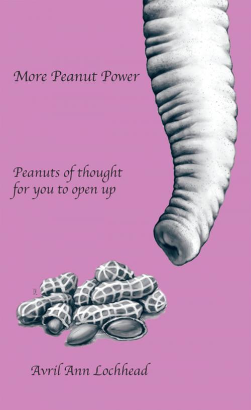 Cover of the book More Peanut Power by Avril Ann Lochhead, Balboa Press AU