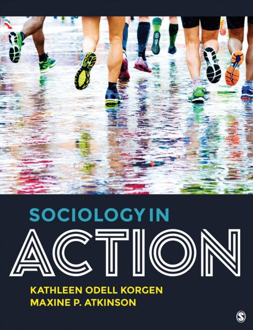 Cover of the book Sociology in Action by , SAGE Publications
