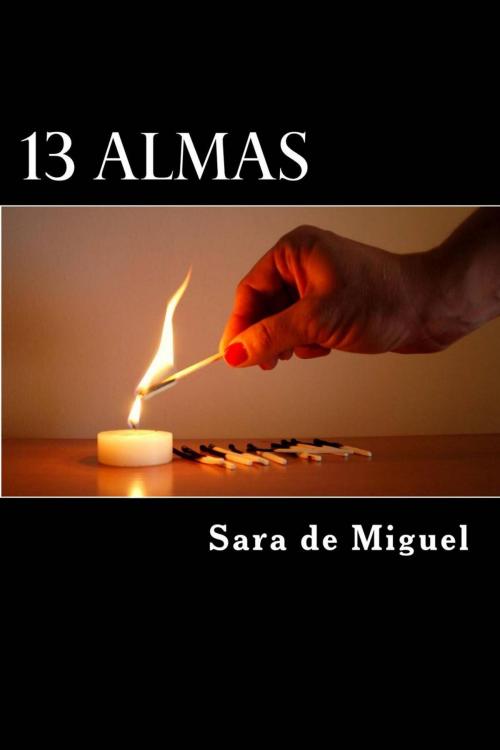 Cover of the book 13 Souls by Sara de Miguel, Sara