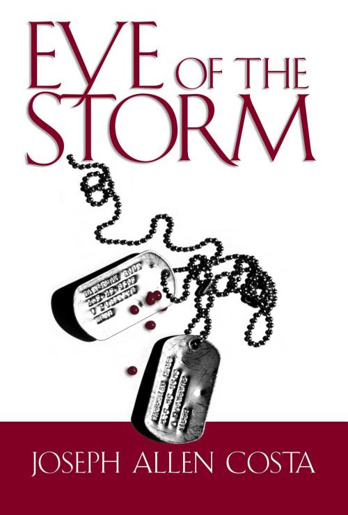 Cover of the book Eye of the Storm by Joseph Allen Costa, Costa Creative LLC