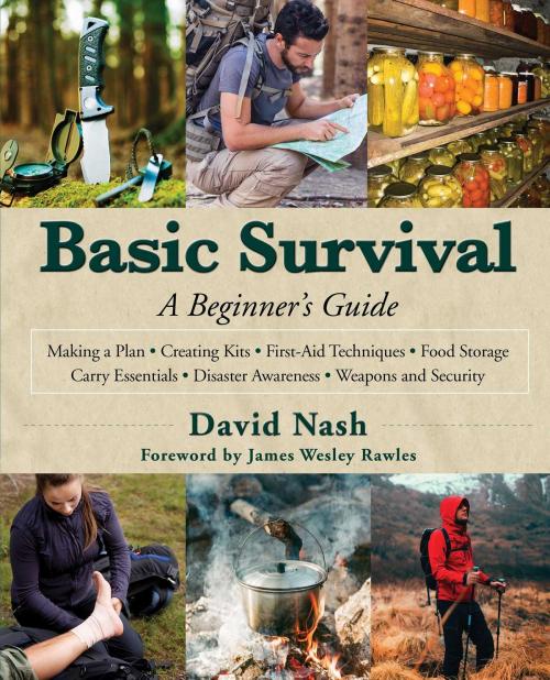 Cover of the book Basic Survival by David Nash, Skyhorse