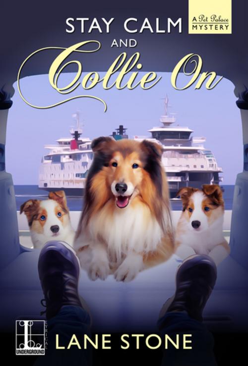 Cover of the book Stay Calm and Collie On by Lane Stone, Lyrical Press