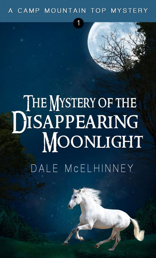 Cover of the book The Mystery of the Disappearing Moonlight by Dale McElhinney, Prism Book Group