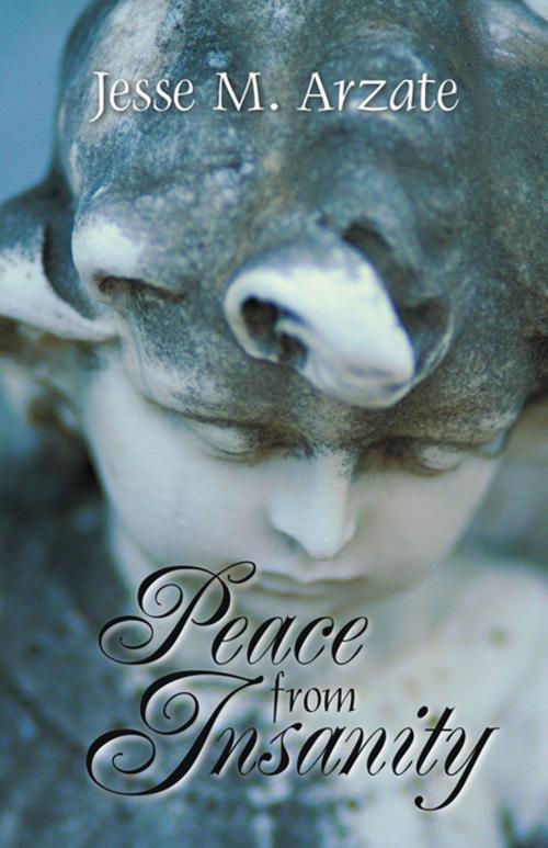 Cover of the book Peace from Insanity by Jesse M. Arzate, iUniverse