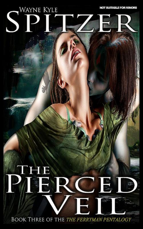 Cover of the book The Pierced Veil by Wayne Kyle Spitzer, Wayne Kyle Spitzer