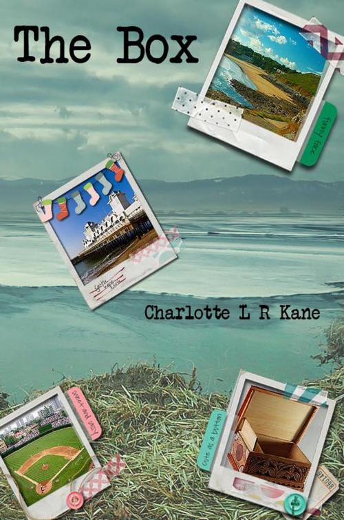 Cover of the book The Box by Charlotte L R Kane, Charlotte L R Kane