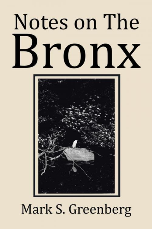 Cover of the book Notes on the Bronx by Mark S. Greenberg, Xlibris US