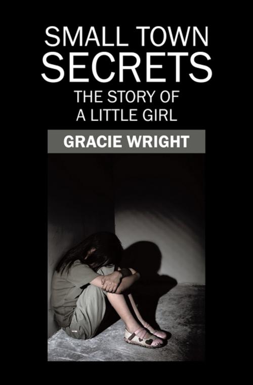Cover of the book Small Town Secrets by Gracie Wright, Xlibris US