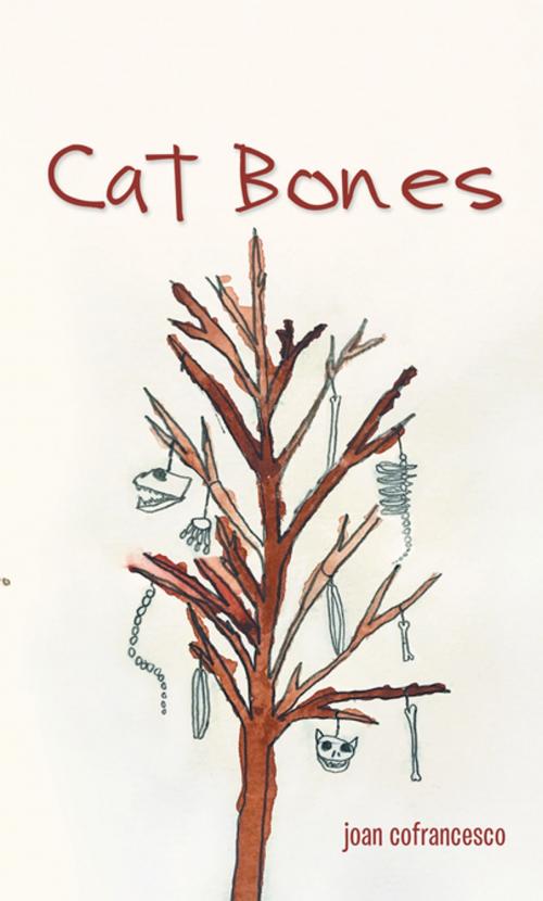 Cover of the book Cat Bones by Joan Cofrancesco, AuthorHouse