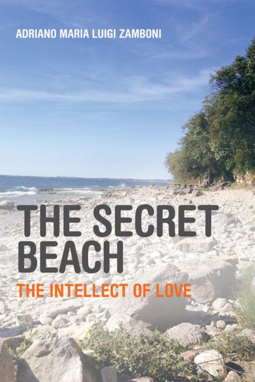 Cover of the book The Secret Beach by Adriano Maria Luigi Zamboni, AuthorHouse UK