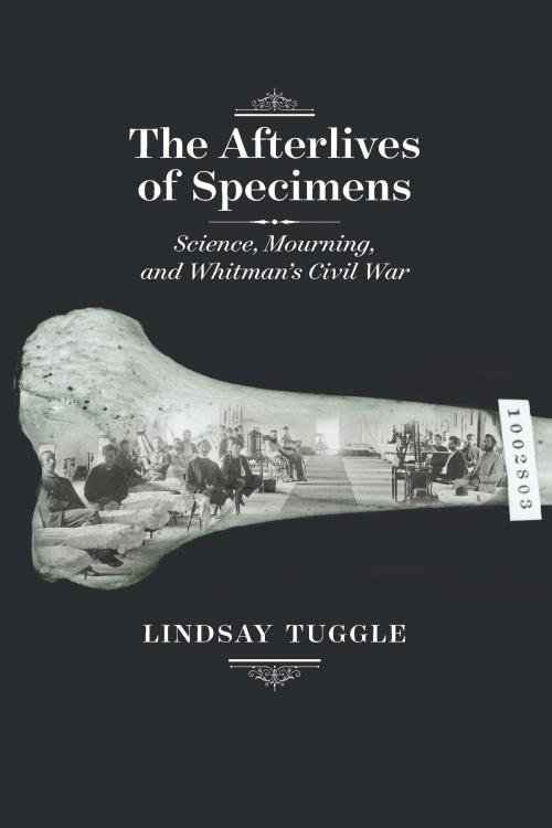 Cover of the book The Afterlives of Specimens by Lindsay Tuggle, University of Iowa Press