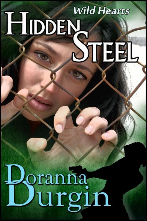 Cover of the book Hidden Steel by Doranna Durgin, Blue Hound Visions