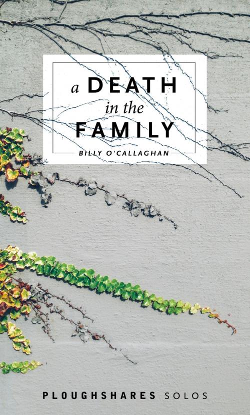 Cover of the book A Death in the Family by Billy O'Callaghan, Ploughshares / Emerson College