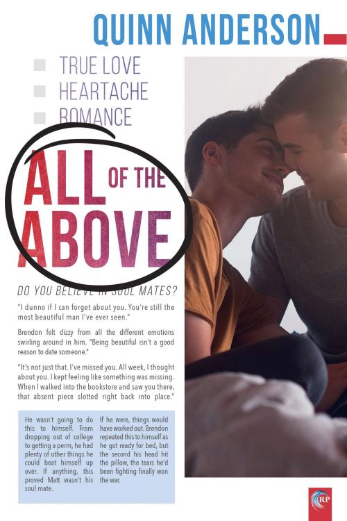 Cover of the book All of the Above by Quinn Anderson, Riptide Publishing
