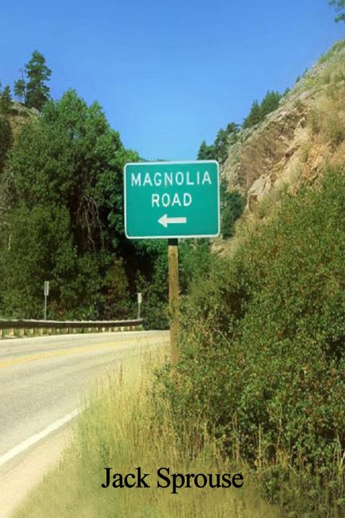 Cover of the book Magnolia Road by Jack Sprouse, Black Opal Books