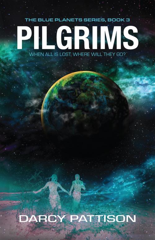 Cover of the book Pilgrims by Darcy Pattison, Mims House, LLC