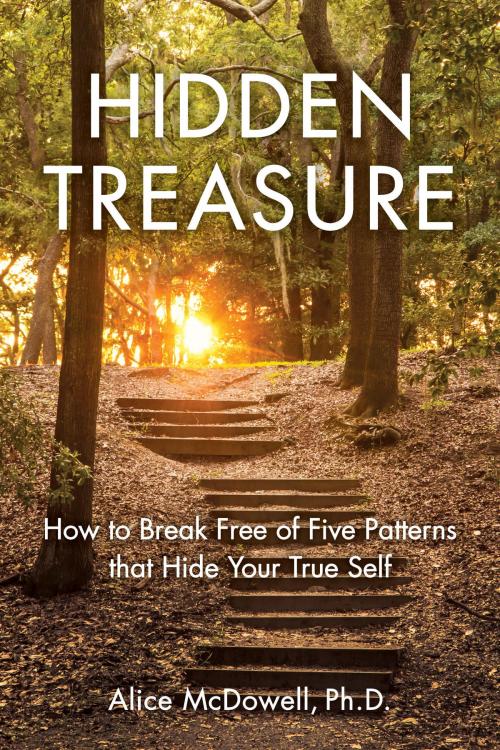 Cover of the book Hidden Treasure by Alice McDowell PhD, She Writes Press