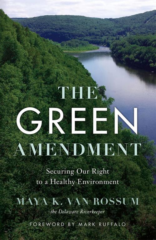 Cover of the book The Green Amendment by Rossum Maya van, Disruption Books