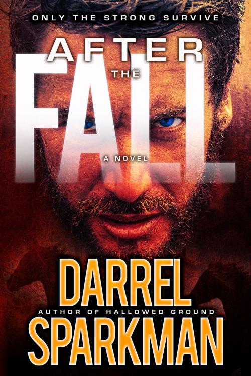 Cover of the book After the Fall by Darrel Sparkman, Oghma Creative Media